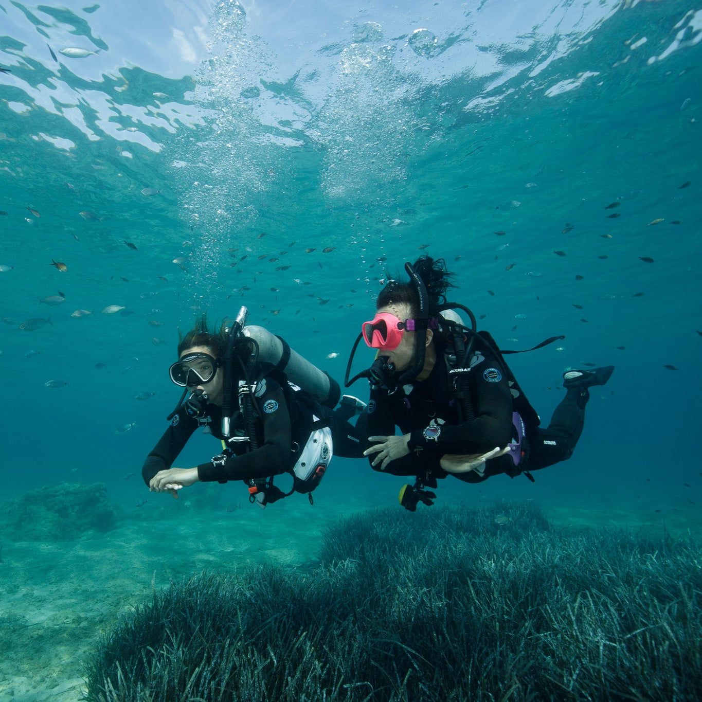 CHANIA -Sukelluskokeilu (Discover Scuba Diving)